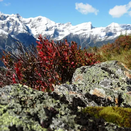 شقة Haus Tyrol Tobadill
