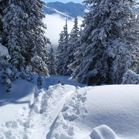Haus Tyrol Lejlighed Tobadill